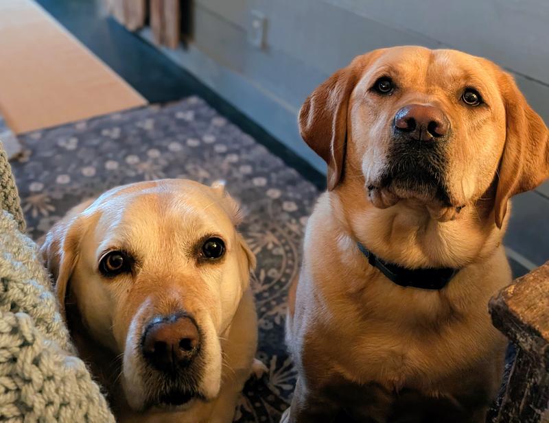 Customer carousel item 3.