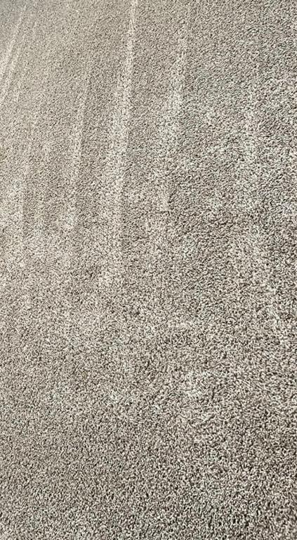 It's amazing how much it picked up.