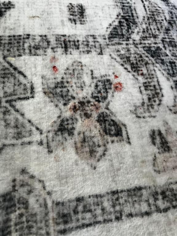 Customer photo 6 of 6. Click to open full size image.