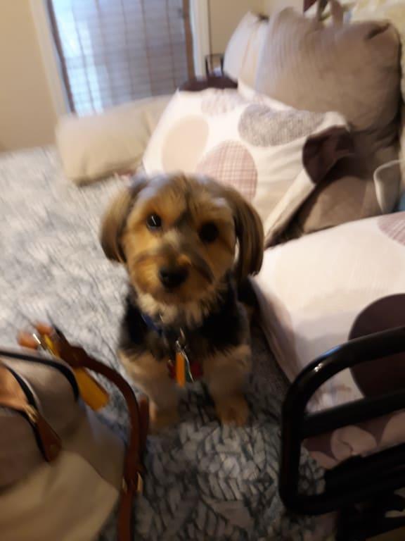 Photo - commentaire 7.