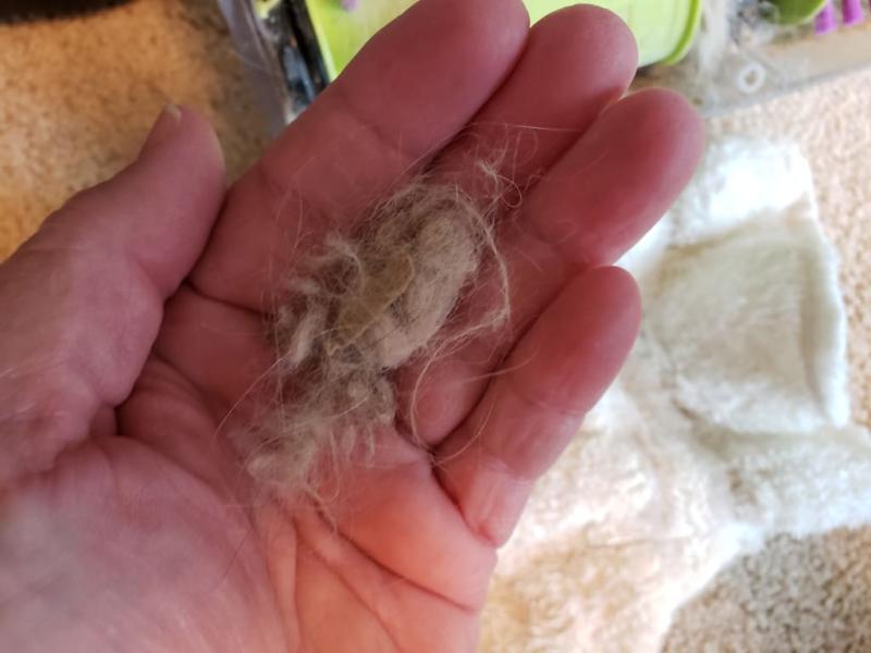 This is what the vacuum spits up when there is trapped hair