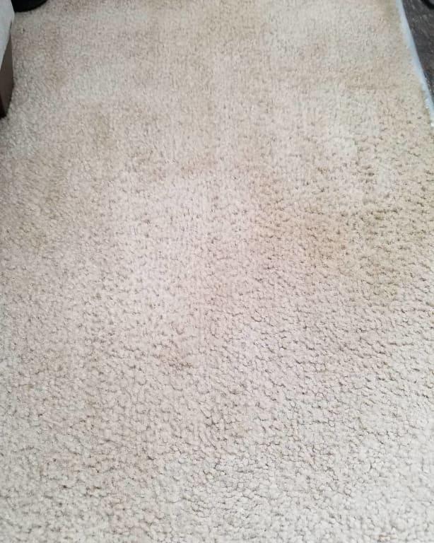 Customer photo 2 of 5. Click to open full size image.