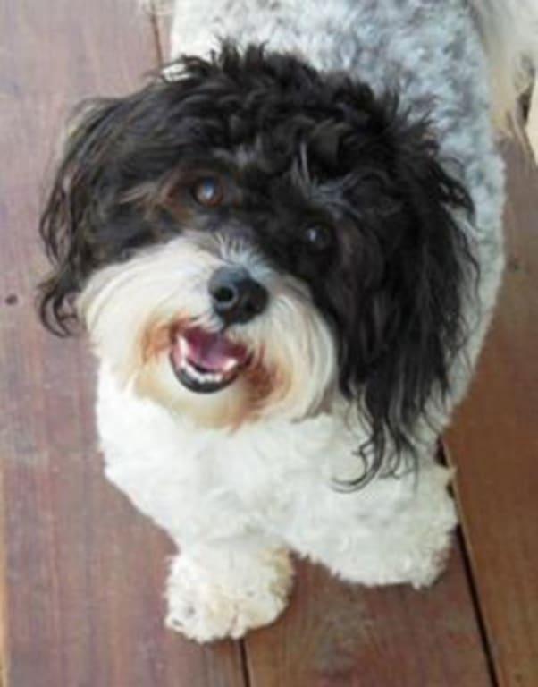 Marty will Always be My Man