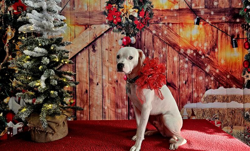 We rescued him first