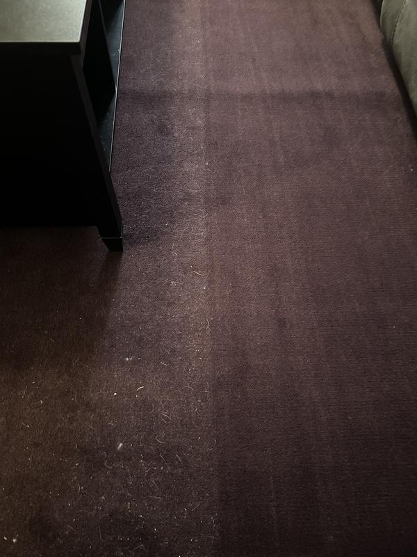 Left is the dirty side, right is just a few swipes with the vacuum.