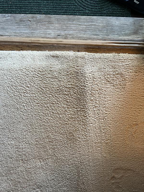 I was away and came back to this mess in front of my door. Pix 2 is after the Bissell cleaner did its magic!