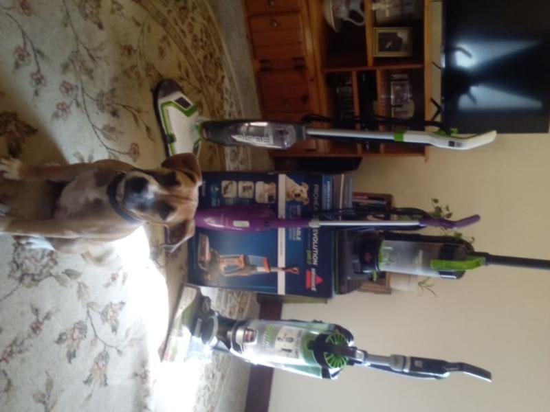 BISSELL® Proheat 2X® Revolution™ Carpet and Upholstery Deep Cleaner in Black/Red Bed Bath and