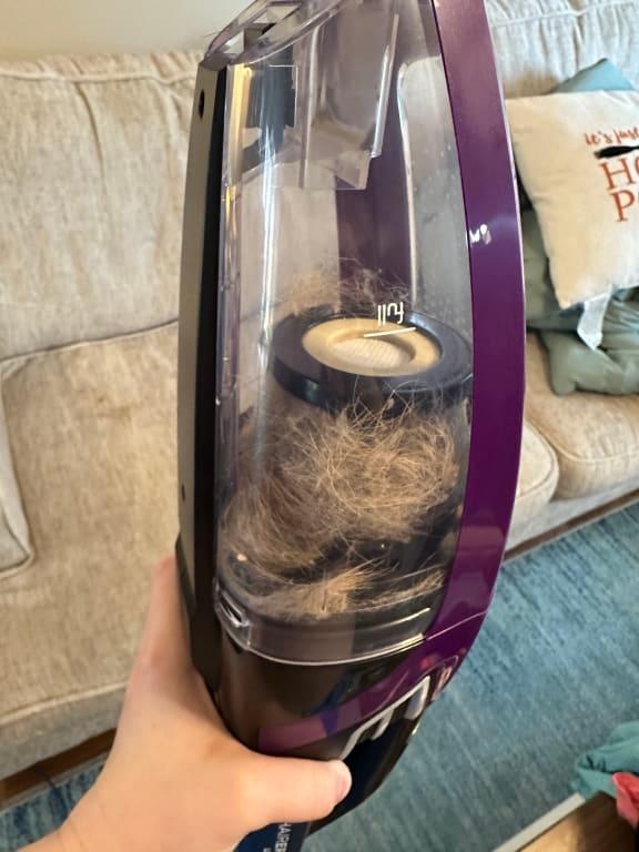 Bissell Pet Hair Eraser Review