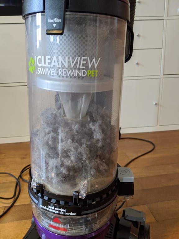 BISSELL® CleanView® Swivel Pet Rewind Upright Vacuum in Black/Purple