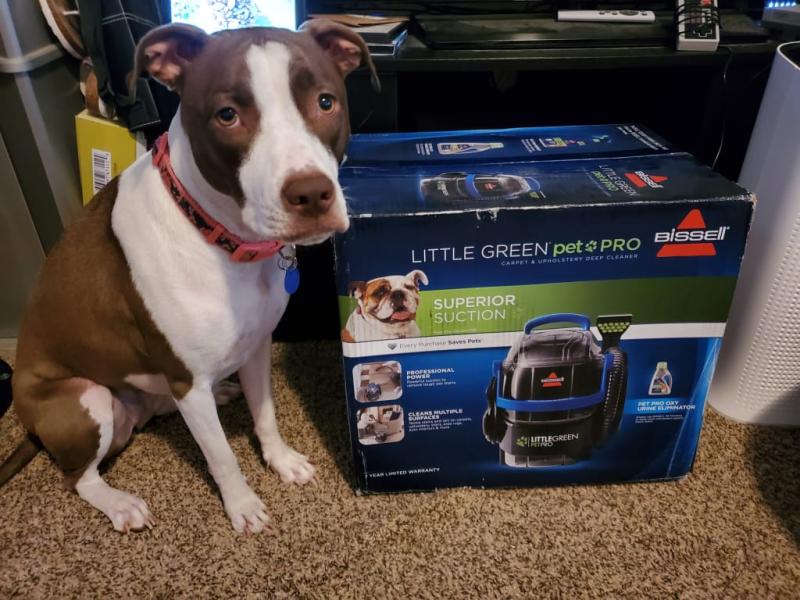 BISSELL® Little Green® Pet Pro Portable Carpet Cleaner