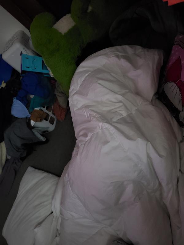 Me sound asleep. Curled up in the comforter.