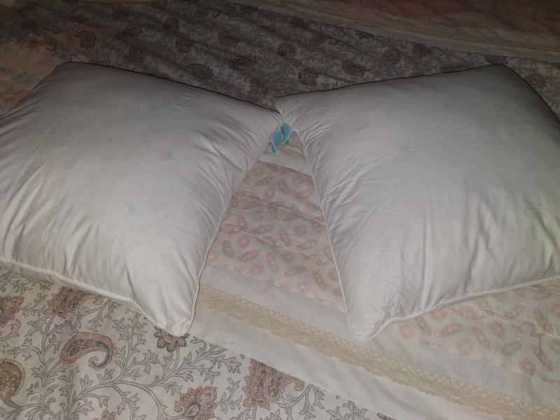 Great feather pillows