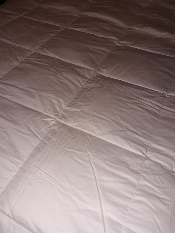 Photo from Promom