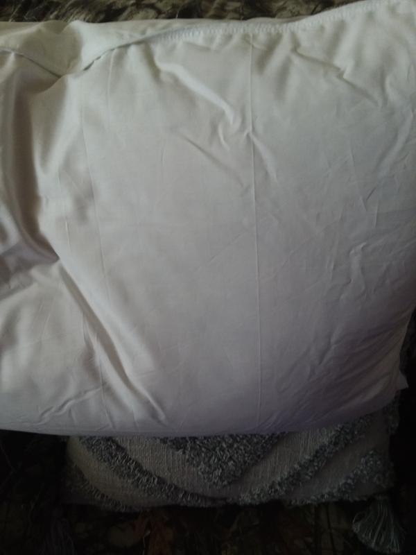 The pillow itself