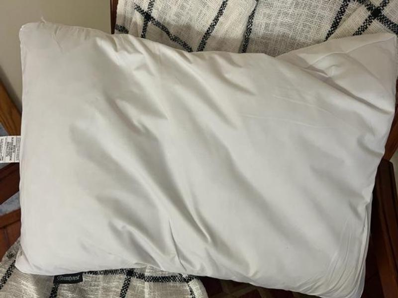 Hypoallergenic and incredibly soft.