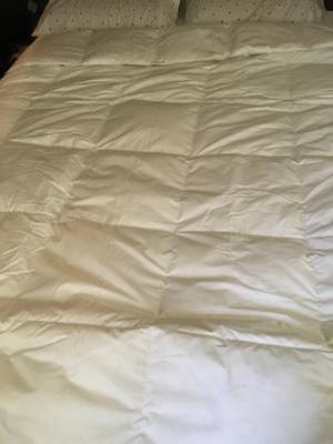 Martha Stewart 240 Thread Count White Goose Feather and Down Comforter