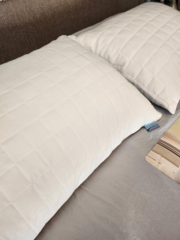 Blue Ridge Activ Shredded Memory Foam 2 Pack Pillow With Removable