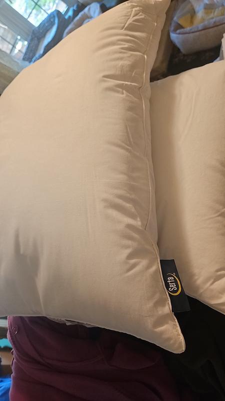 Forever cool hotsell pillow serta