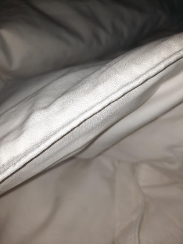 1 hour after being out of the bag