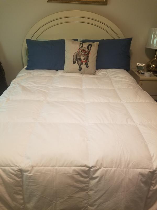 Comforter