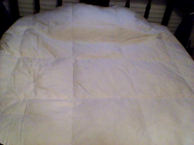 Kathy Ireland Essentials White Goose Feather And Down Comforter