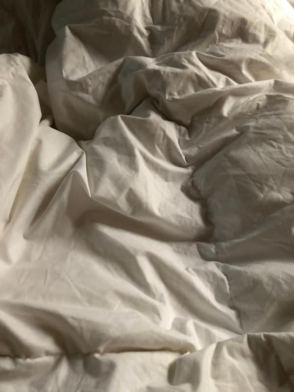 Serta® Goose Feather and White Goose Down Full/Queen Comforter in White ...