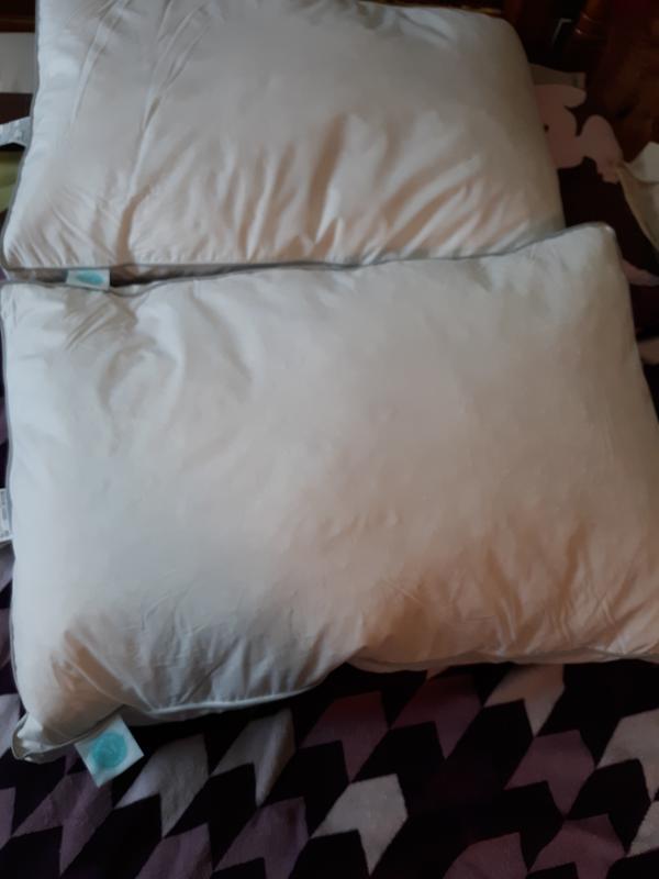 Here is the 2 Martha Steward white feather and down pillow