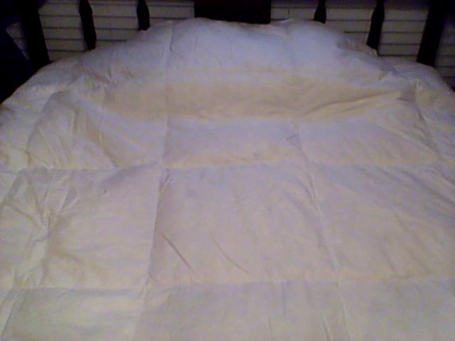 Beautiful White Goose Feather Comforter!