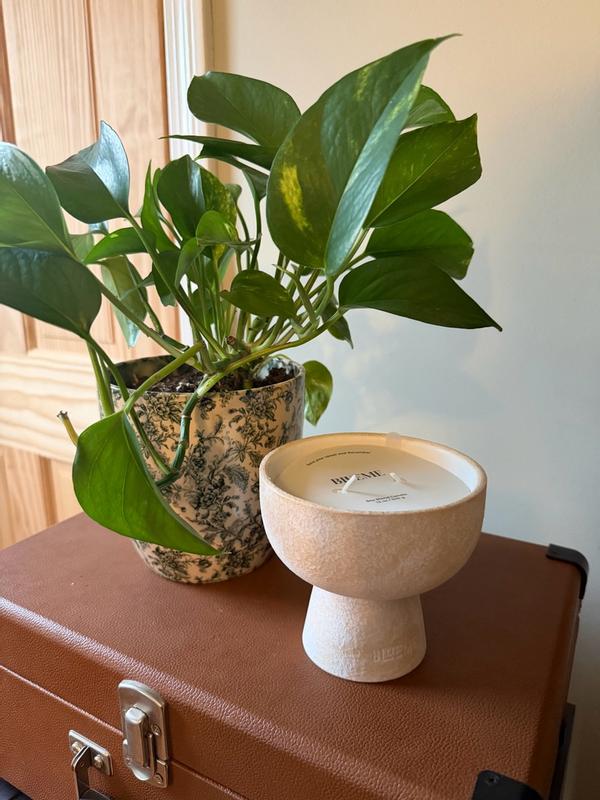 Review Thumbnail Image 0 383423098