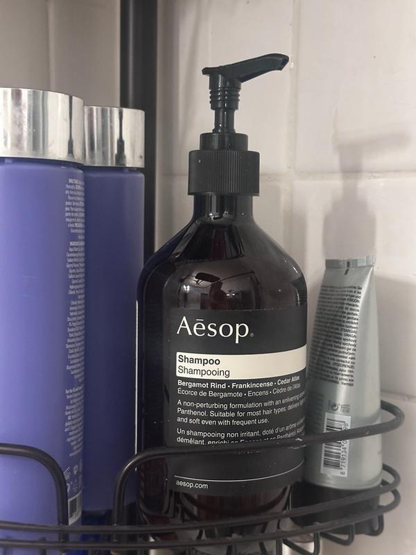 Aesop☆ Aesop's Fables Illustrated (Leather-bound Classics): Aesop