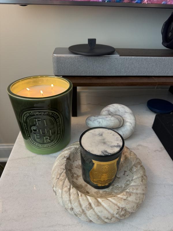 Diptyque Figuier (Fig Tree) Candle – Diptyque – bluemercury