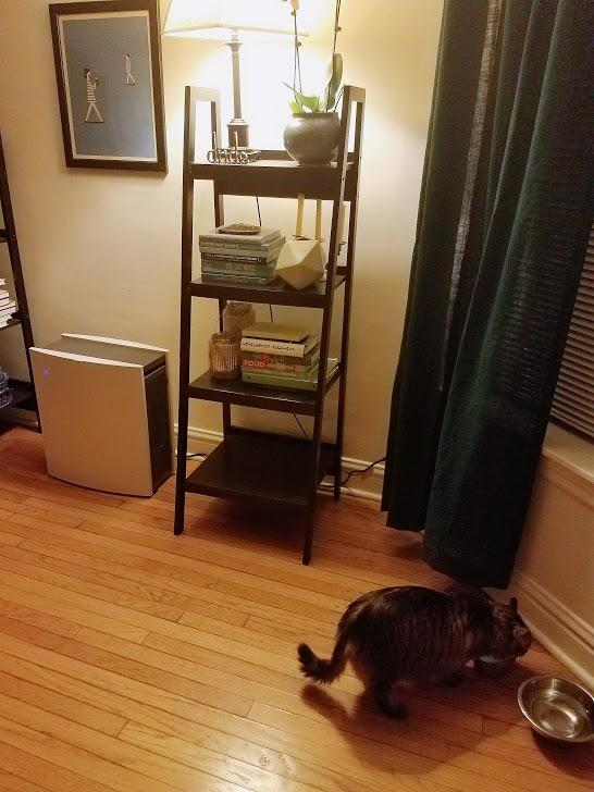 Quiet enough to not even disturb our jumpiest cat