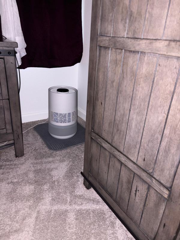 Love this humidifier