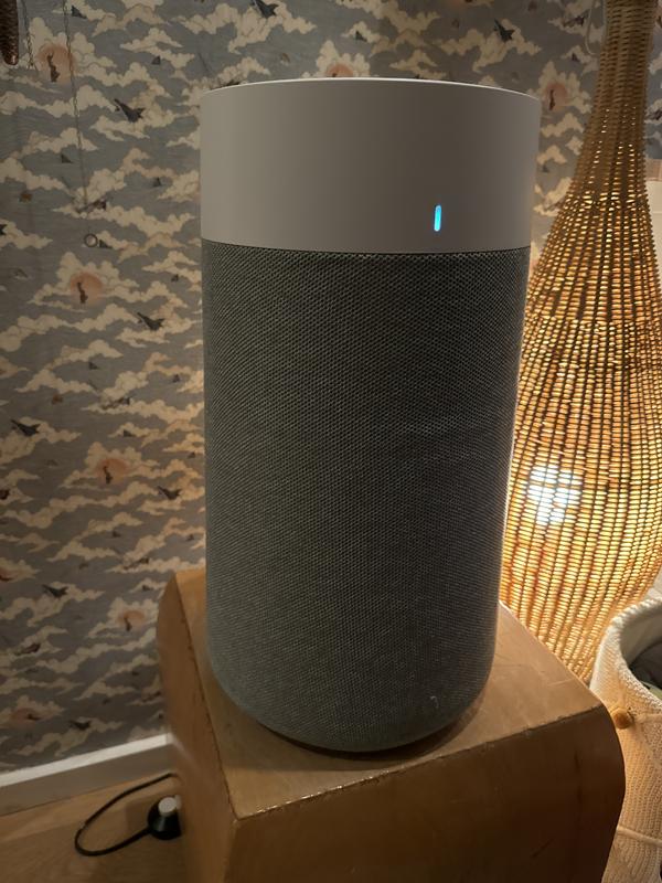 Both of our Blueair 411i’s