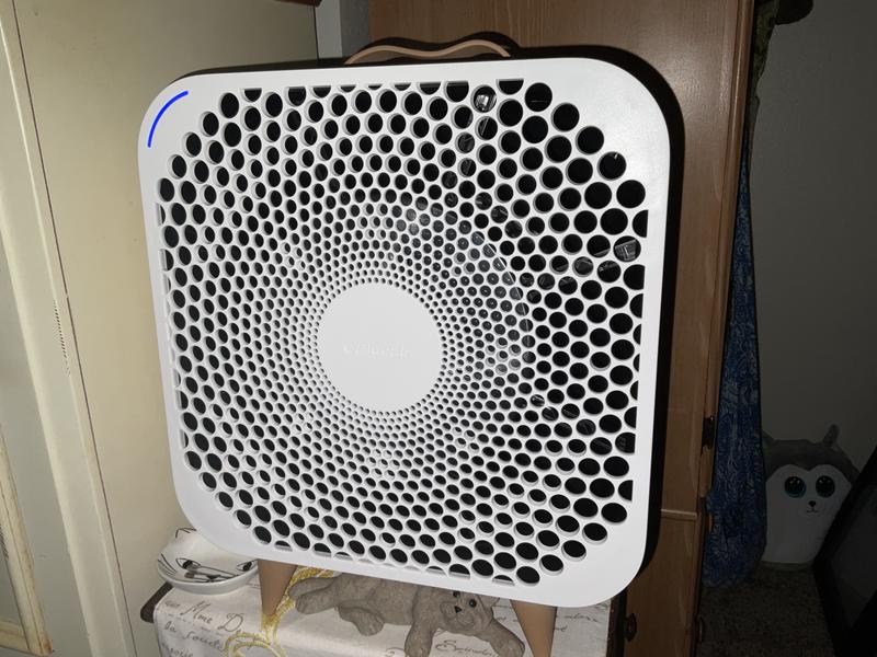 Blueair blue deals pure fan reviews