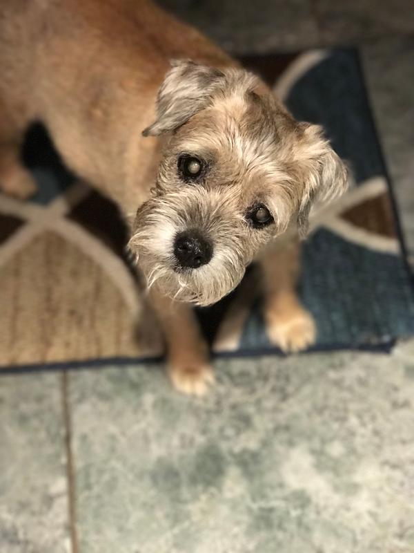 Customer photo 1 of 1. Click to open full size image.