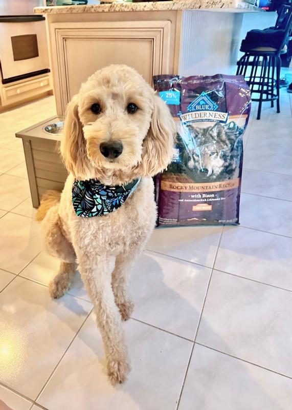 BLUE Wilderness™ Rocky Mountain Recipe with Bison for Adult Dogs