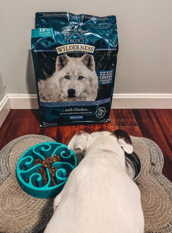 Blue wilderness outlet puppy review