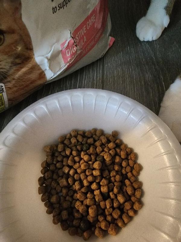 Blue Buffalo True Solutions Blissful Belly Digestive Care Natural Dry Food for Adult Cats Chicken 11 lb. Bag Meijer