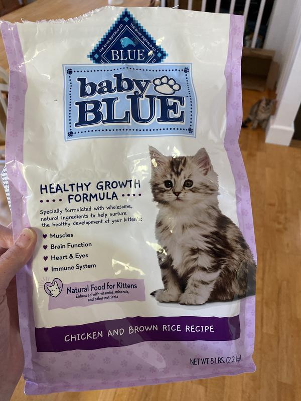 Blue buffalo kitten food reviews best sale