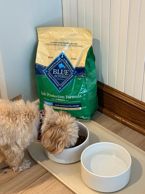Blue Buffalo Life Protection Formula Natural Adult Dry Dog Food, Lamb &  Brown Rice Recipe, 30 Pounds | Pet Supplies Plus