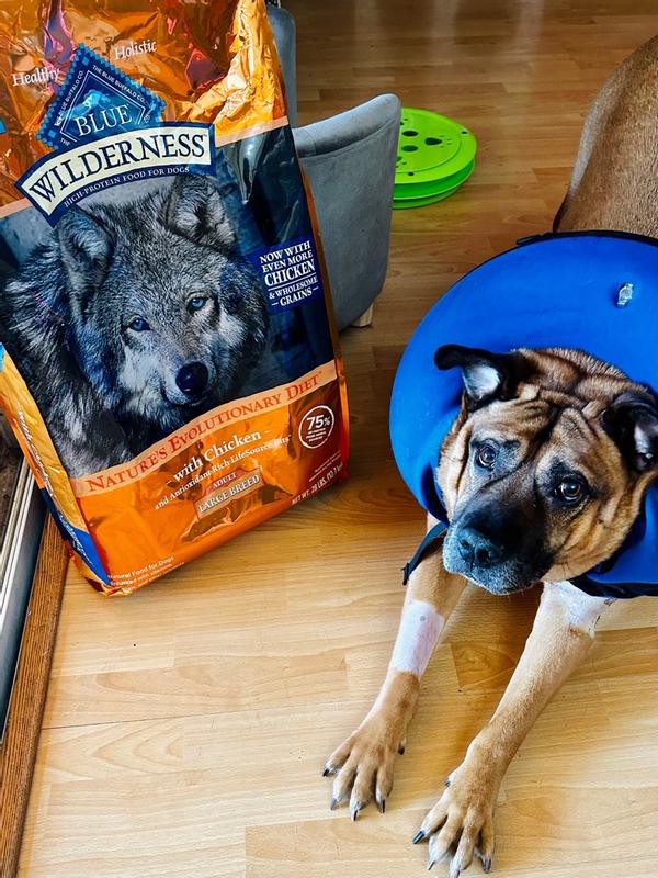 Blue Buffalo Dog Food for Sale 