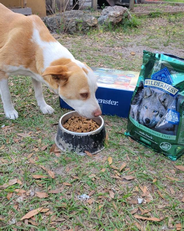 Diet Hunting Dog Food Reviews Blue Buffalo Wilderness High Protein