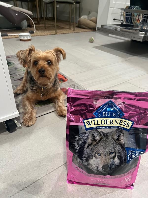 Blue wilderness small breed dog outlet food