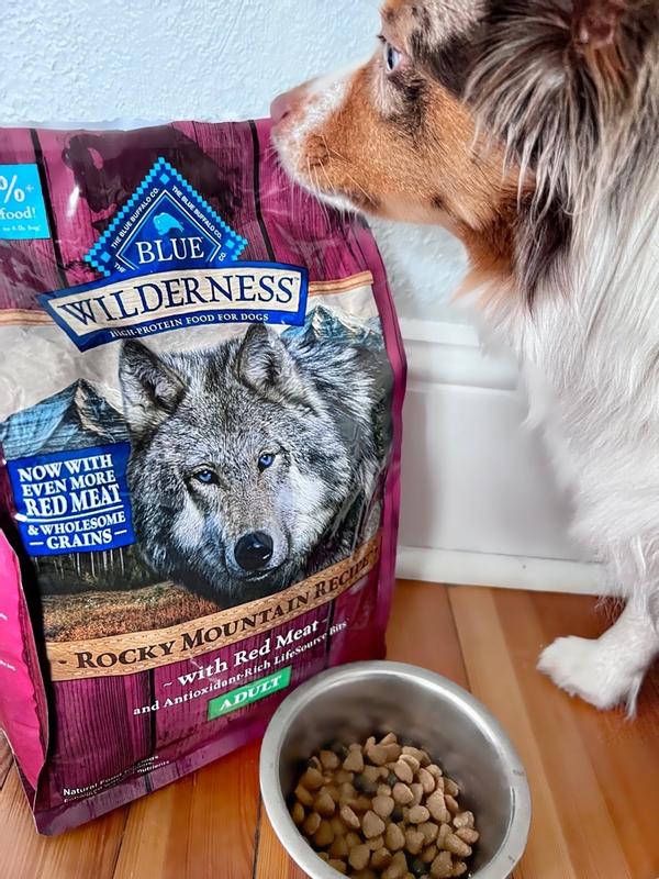 Blue Buffalo Wilderness Rocky Mountain Recipe High Protein Natural