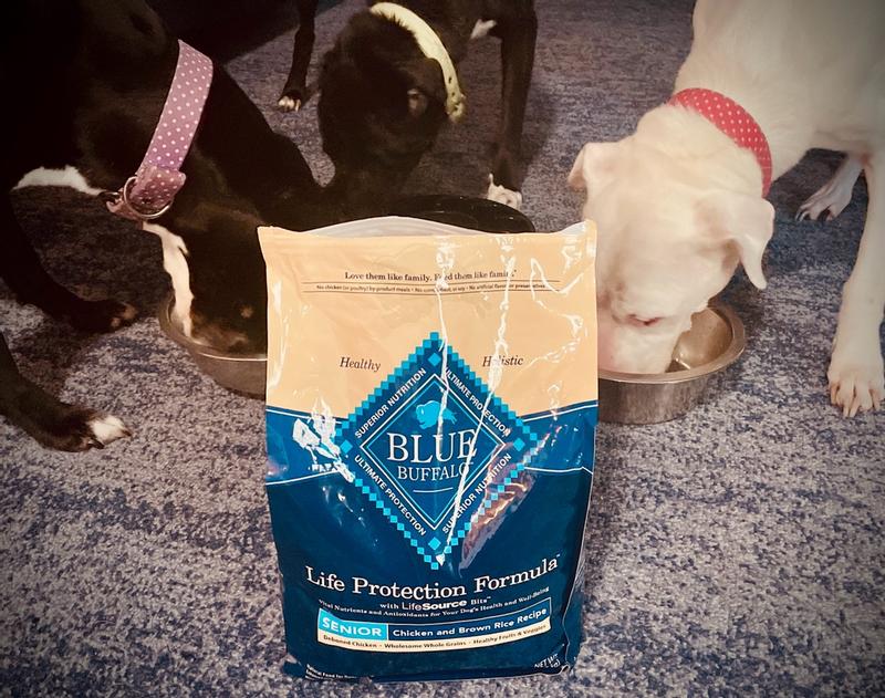 blackwood dog food chewy Blackwood Grain Free Dog Treats – BrightPet main image 0