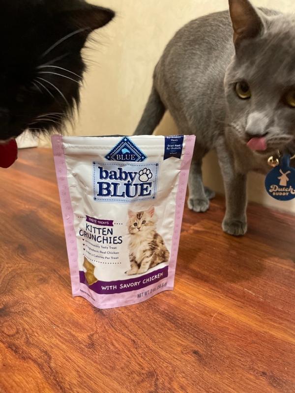 Baby BLUE Crunchy Kitten Treats Blue Buffalo