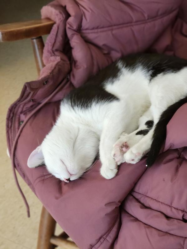 Photo - commentaire 1.