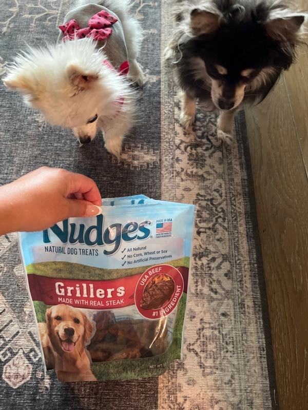 Blue Buffalo Nudges Grillers Made in the USA with Real Steak Natural Dog Treats 16 oz. Petco