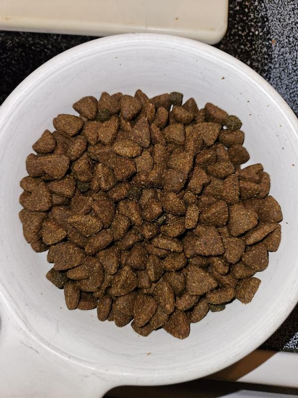 Dog Food Blue Mountain Cat Food Reviews Blue Buffalo Wilderness  High-Protein Rocky Mountain Recipe Adult